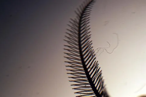 Multicolored background Stock Photos