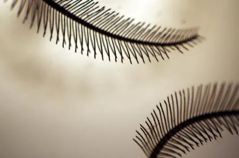 Multicolored background Stock Photos