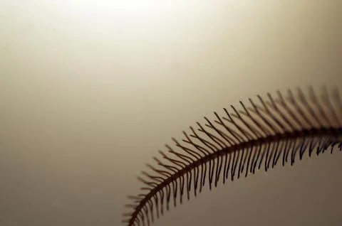 Multicolored background Stock Photos