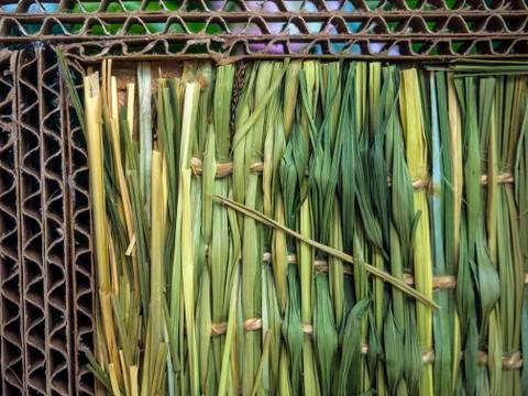 Multicolored background Stock Photos