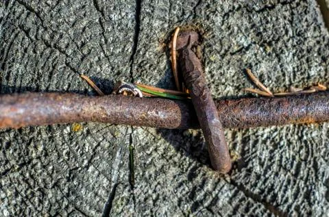 Multicolored background Stock Photos