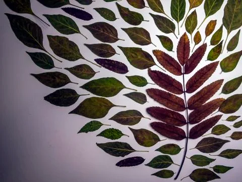 Multicolored background Stock Photos