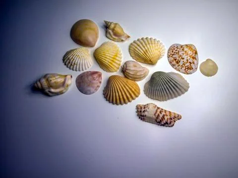 Multicolored background Foto stock