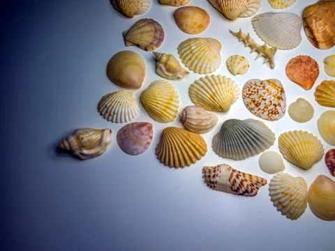 Multicolored background Stock Photos