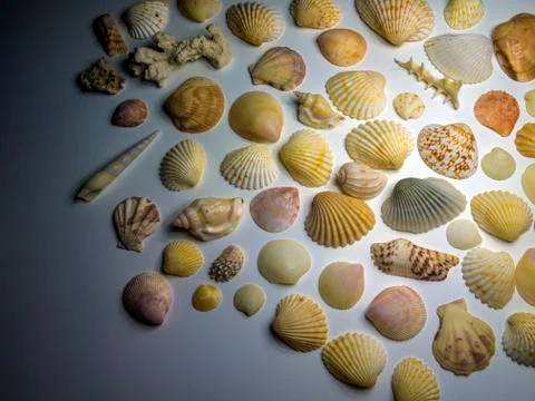 Multicolored background Stock Photos