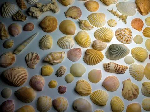 Multicolored background Stock Photos