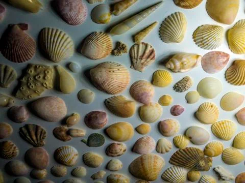 Multicolored background Stock Photos