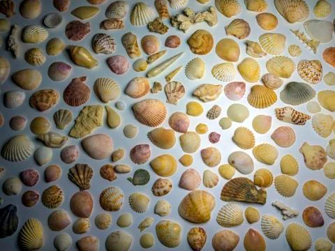 Multicolored background Stock Photos