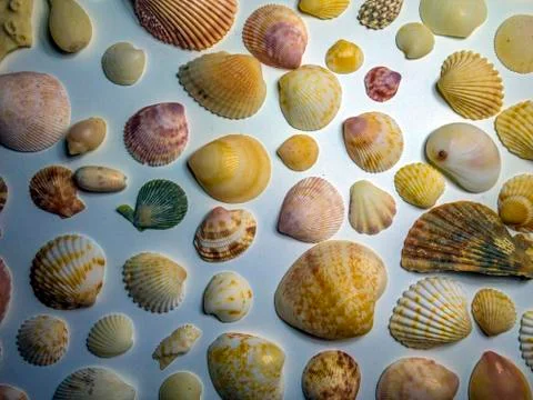 Multicolored background Stock Photos