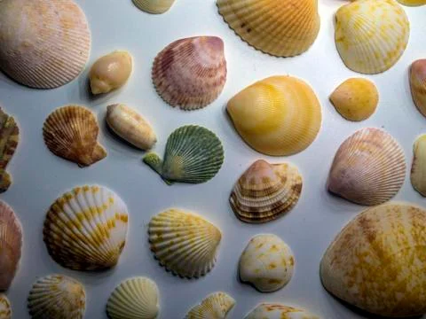 Multicolored background Stock Photos