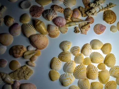 Multicolored background Stock Photos