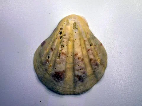 Multicolored background Stock Photos