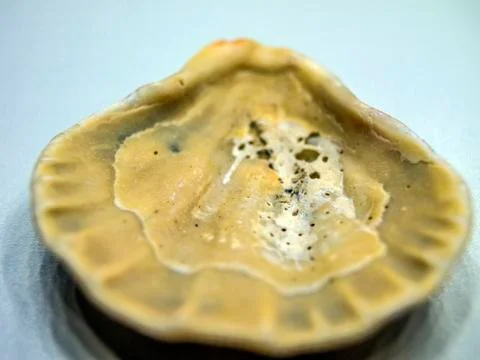 Multicolored background Stock Photos