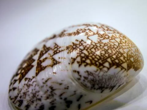 Multicolored background Stock Photos