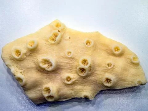 Multicolored background Stock Photos