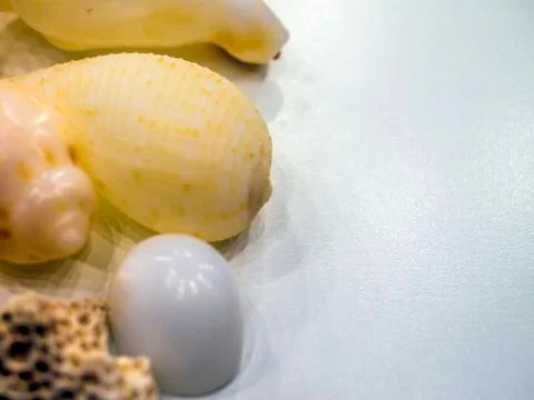 Multicolored background Stock Photos