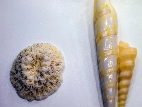 Multicolored background Foto stock