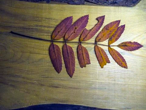 Multicolored background Stock Photos