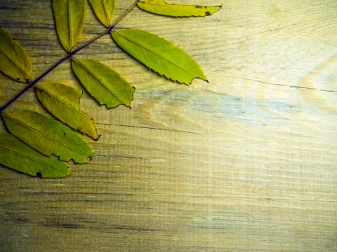 Multicolored background Stock Photos