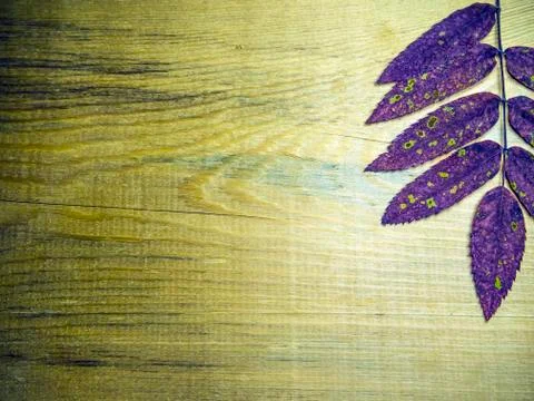 Multicolored background Stock Photos