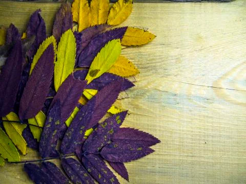 Multicolored background Stock Photos