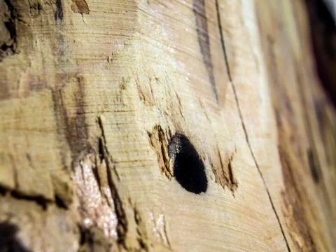 Multicolored background Stock Photos