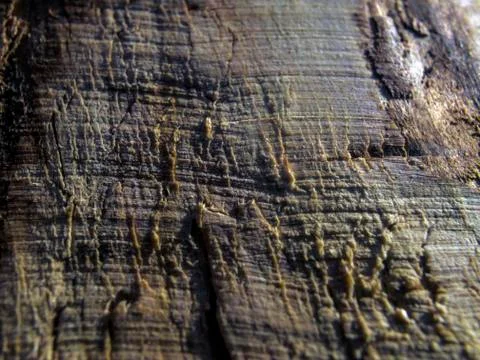 Multicolored background Stock Photos