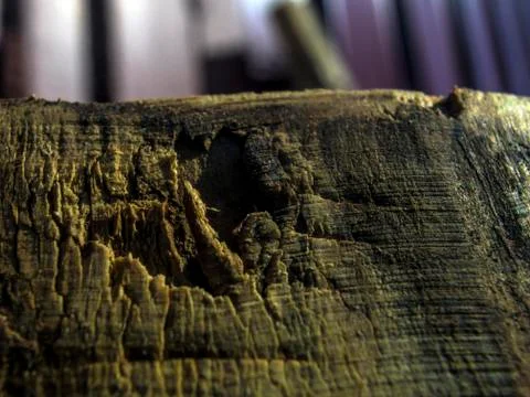 Multicolored background Stock Photos