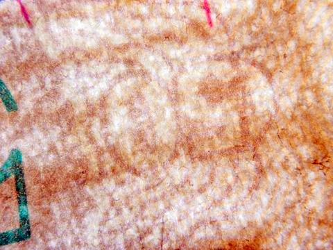 Multicolored background Stock Photos