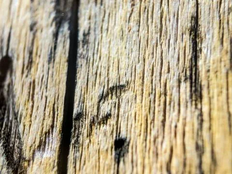 Multicolored background Foto stock