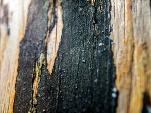 Multicolored background Stock Photos