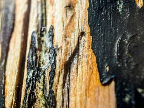 Multicolored background Foto stock