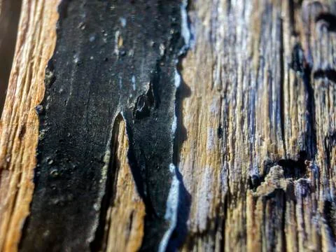 Multicolored background Stock Photos