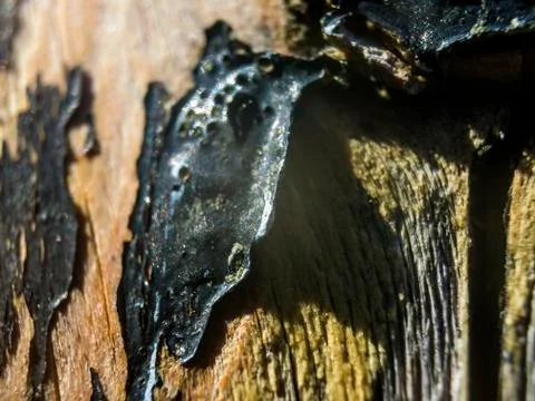 Multicolored background Foto stock