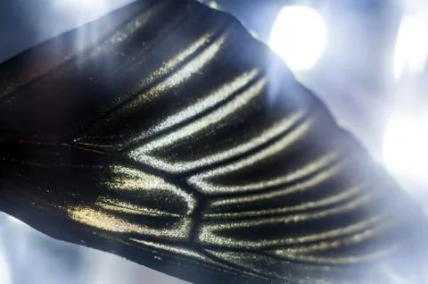 Multicolored background Stock Photos