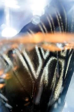 Multicolored background Stock Photos