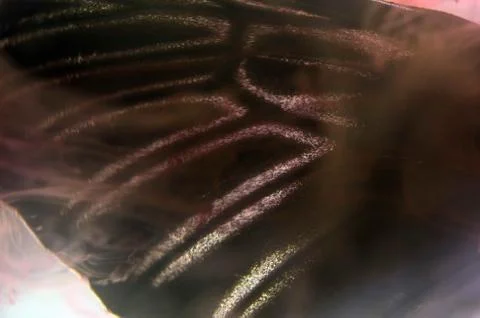 Multicolored background Stock Photos