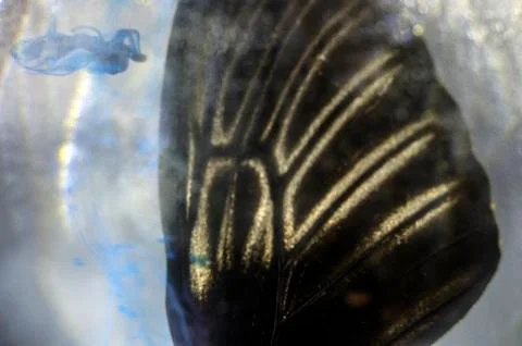 Multicolored background Stock Photos