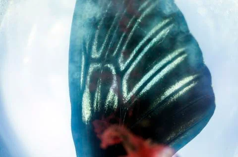 Multicolored background Stock Photos