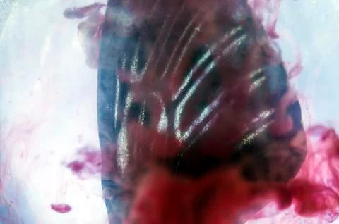 Multicolored background Stock Photos