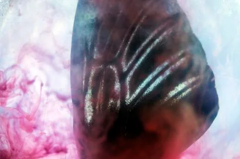 Multicolored background Stock Photos