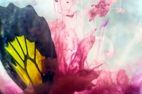 Multicolored background Stock Photos