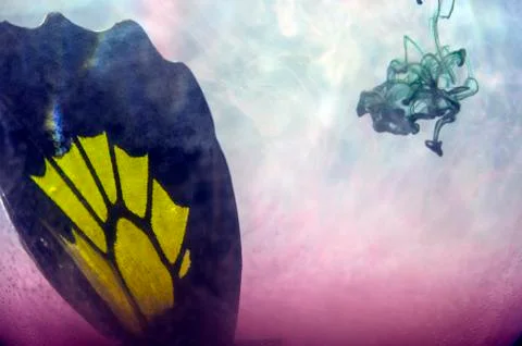 Multicolored background Stock Photos