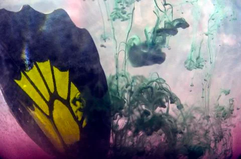 Multicolored background Stock Photos