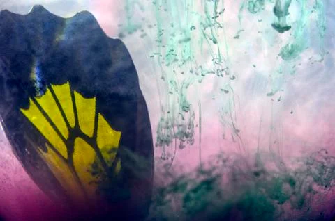 Multicolored background Stock Photos