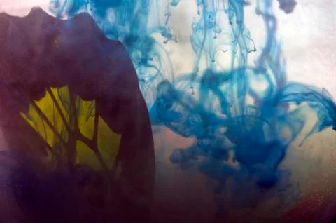 Multicolored background Stock Photos