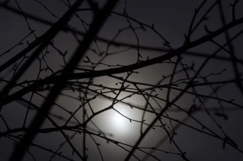 Multicolored background Stock Photos