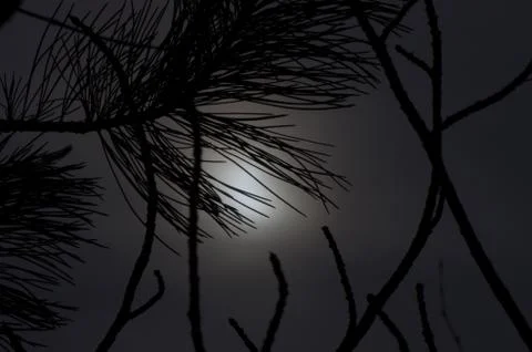 Multicolored background Stock Photos