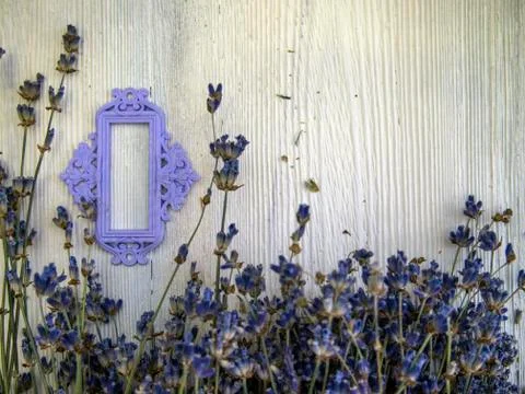 Multicolored background Foto stock