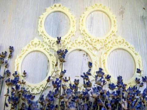 Multicolored background Stock Photos